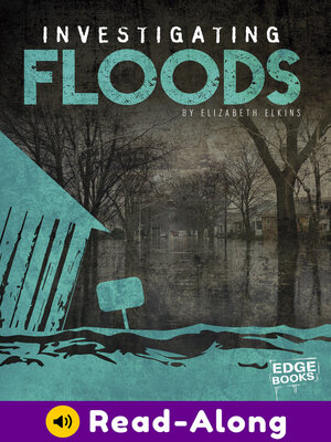 cover image of Investigating Floods